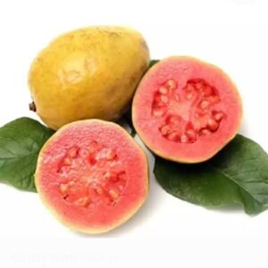Guayaba por Lb